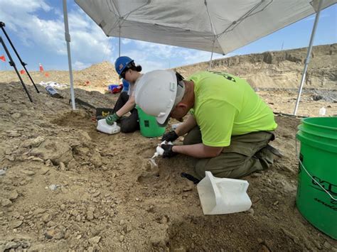 Rare mammoth fossil found by coal miners in North Dakota